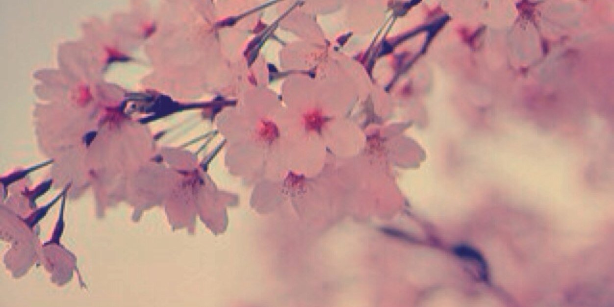__sK____O's profile banner image
