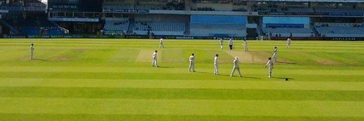 Not as Dpressed, cricket it back banner