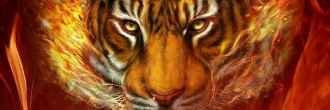 zedan6696's profile banner image