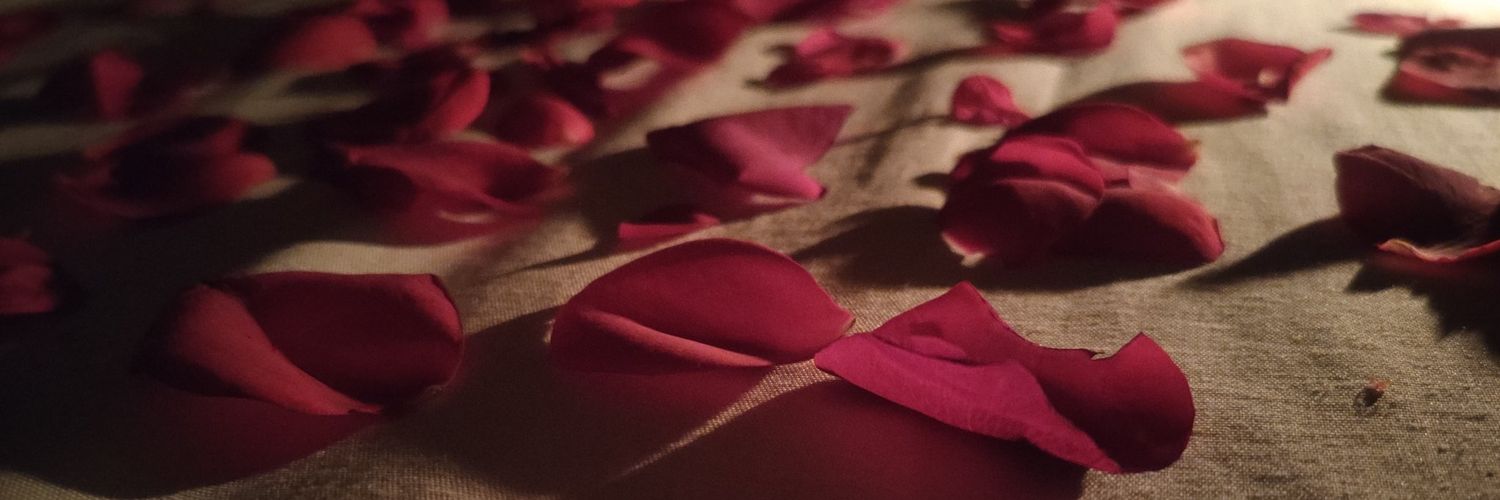 TheRookei's profile banner image