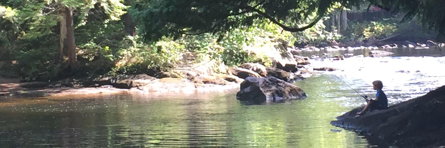 AlysonAdventure's profile banner image