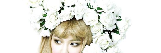 ChoiSYBaby's profile banner image