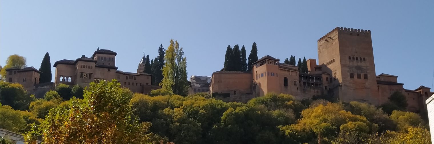 malenfevi's profile banner image