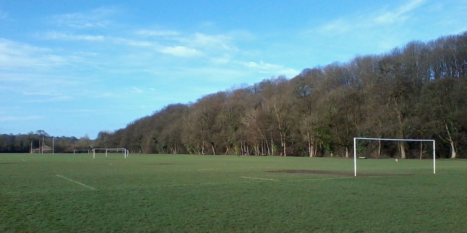 Btfcjuniors's profile banner image