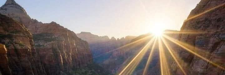 SariaMcheik's profile banner image