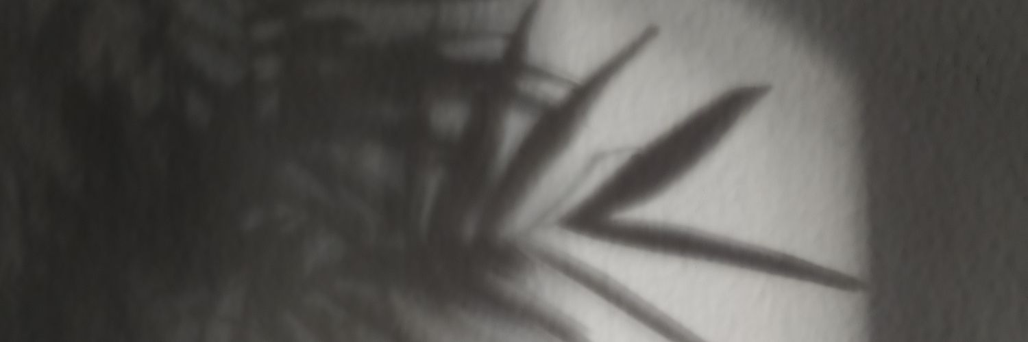 anacaoo's profile banner image