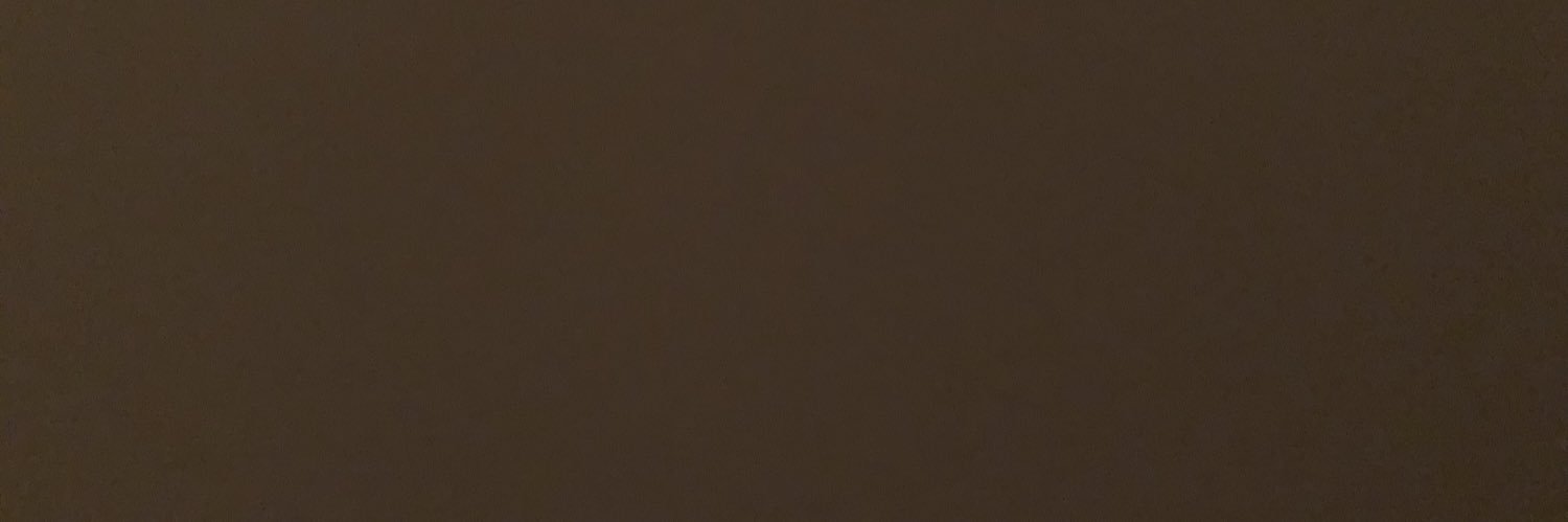 scarIettsx's profile banner image