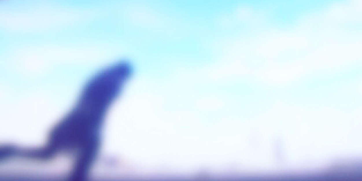 nr_mio's profile banner image