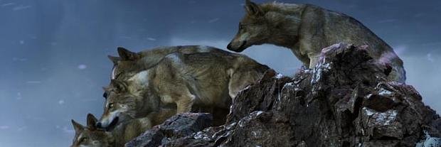 JohnCoste's profile banner image