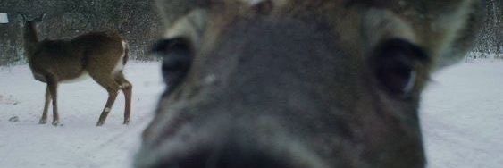_Lonve's profile banner image