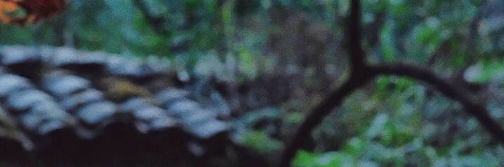 twentysixtrash's profile banner image
