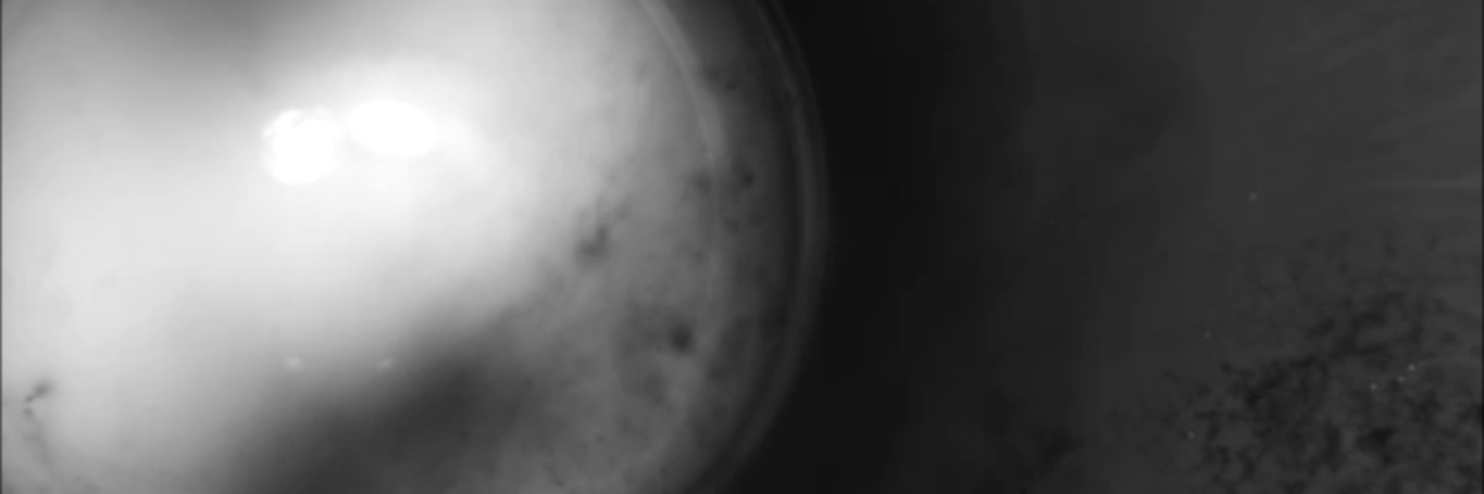 Finn LeMarinel banner