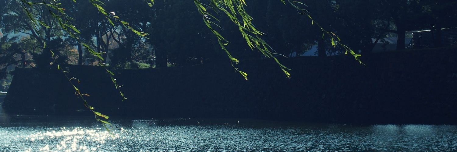 runochandayo's profile banner image