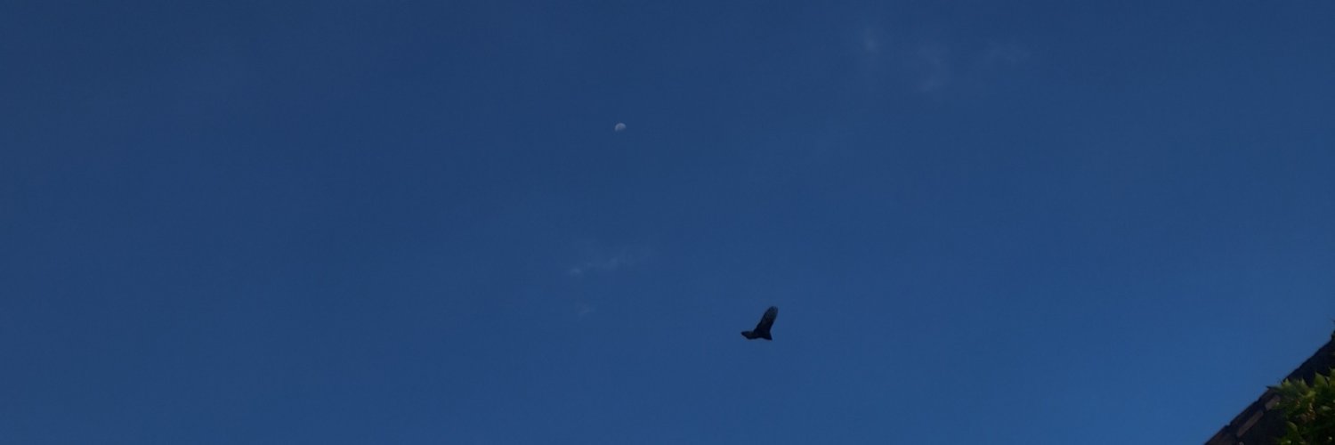 tanganarjeth's profile banner image