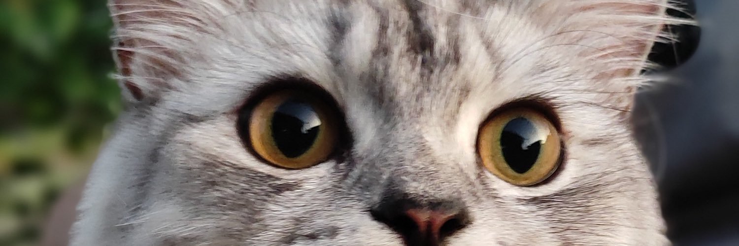 brnrdzjac's profile banner image