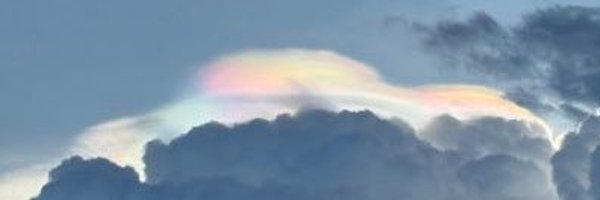 minttchoo Profile Banner