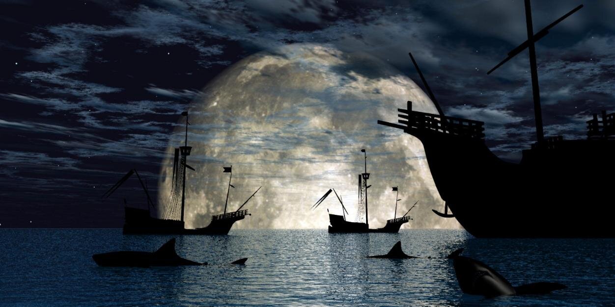 murat sarı banner