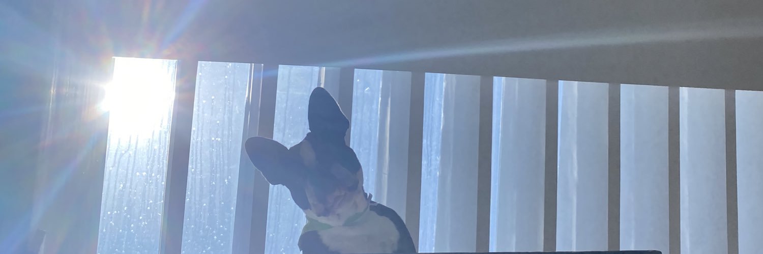 helyayianne's profile banner image