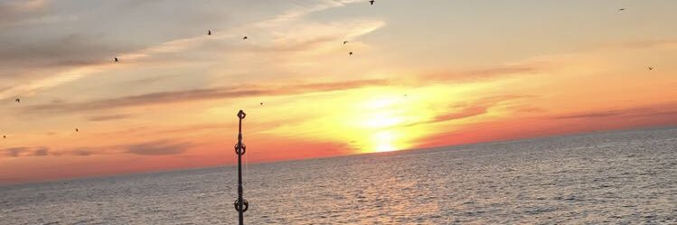 AntRitts813's profile banner image