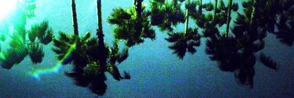 miiik_mos's profile banner image