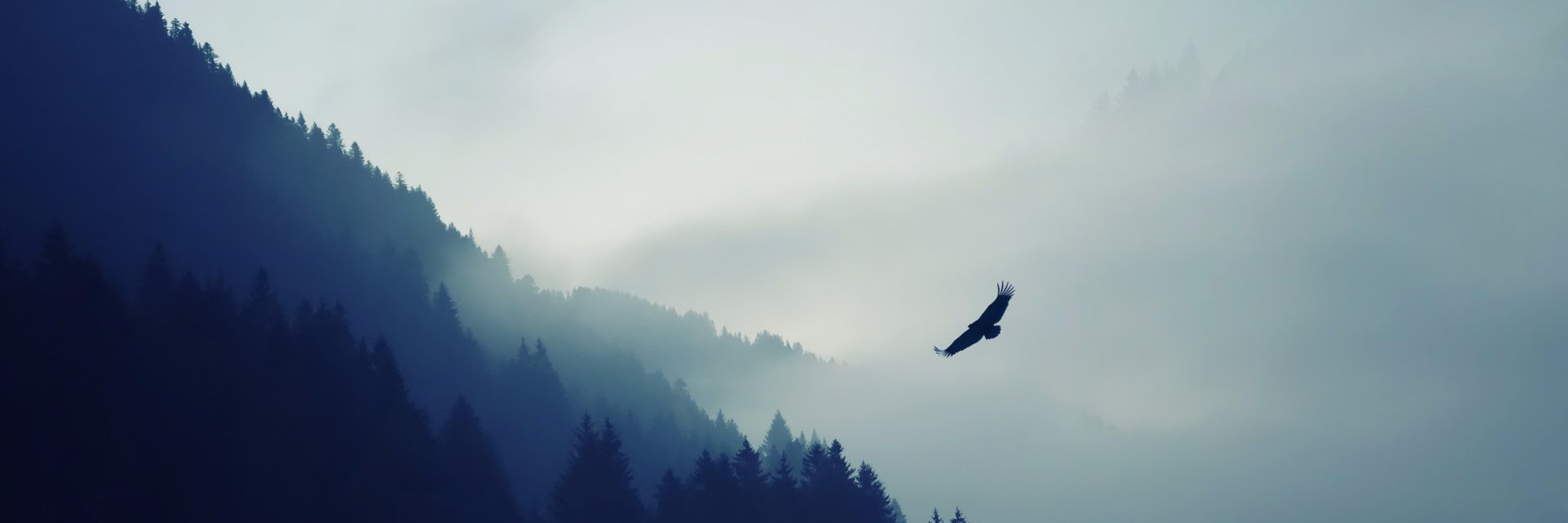drakk11's profile banner image