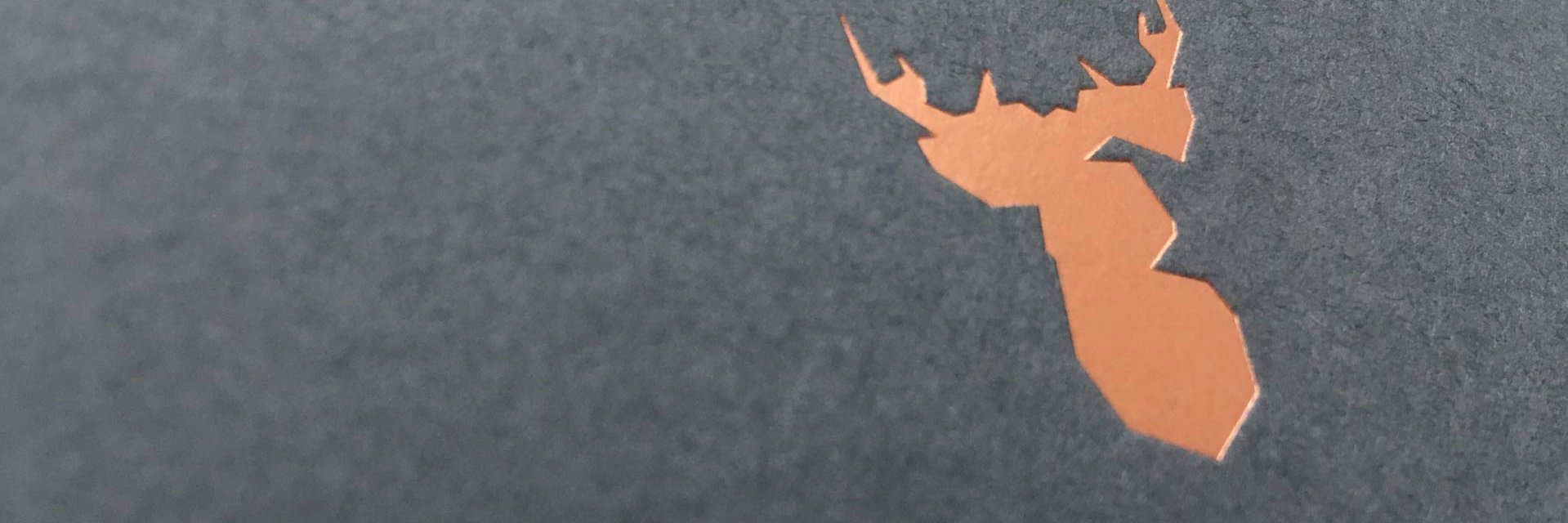 creativetweed's profile banner image
