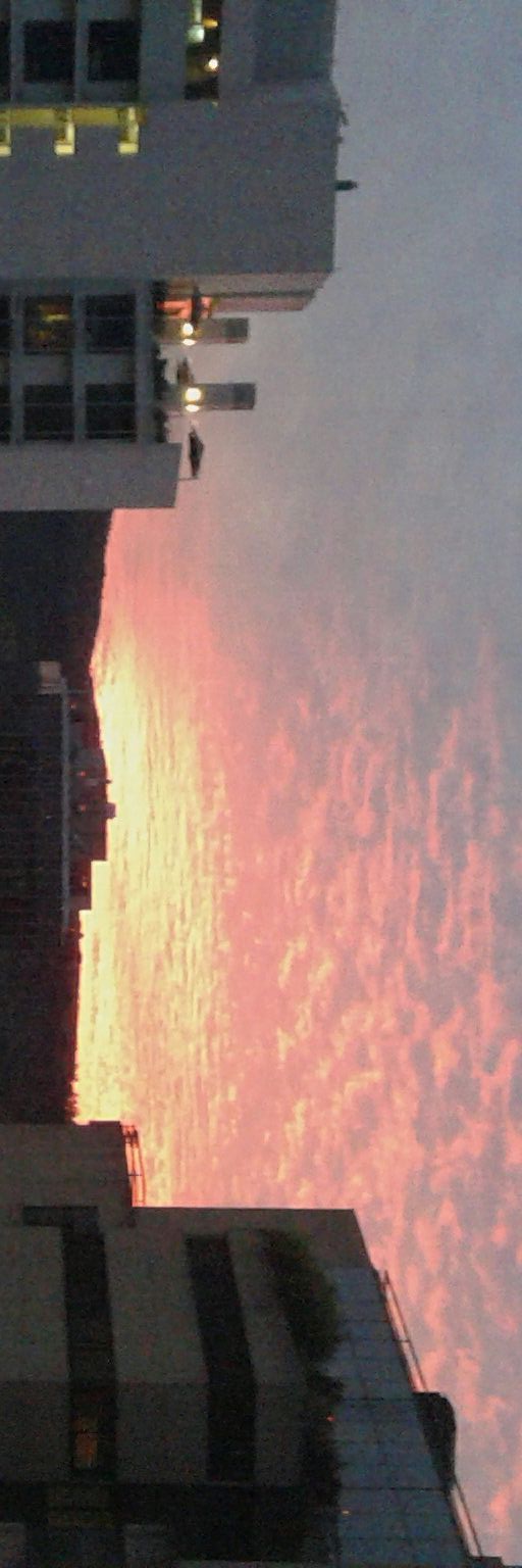 ivimis's profile banner image