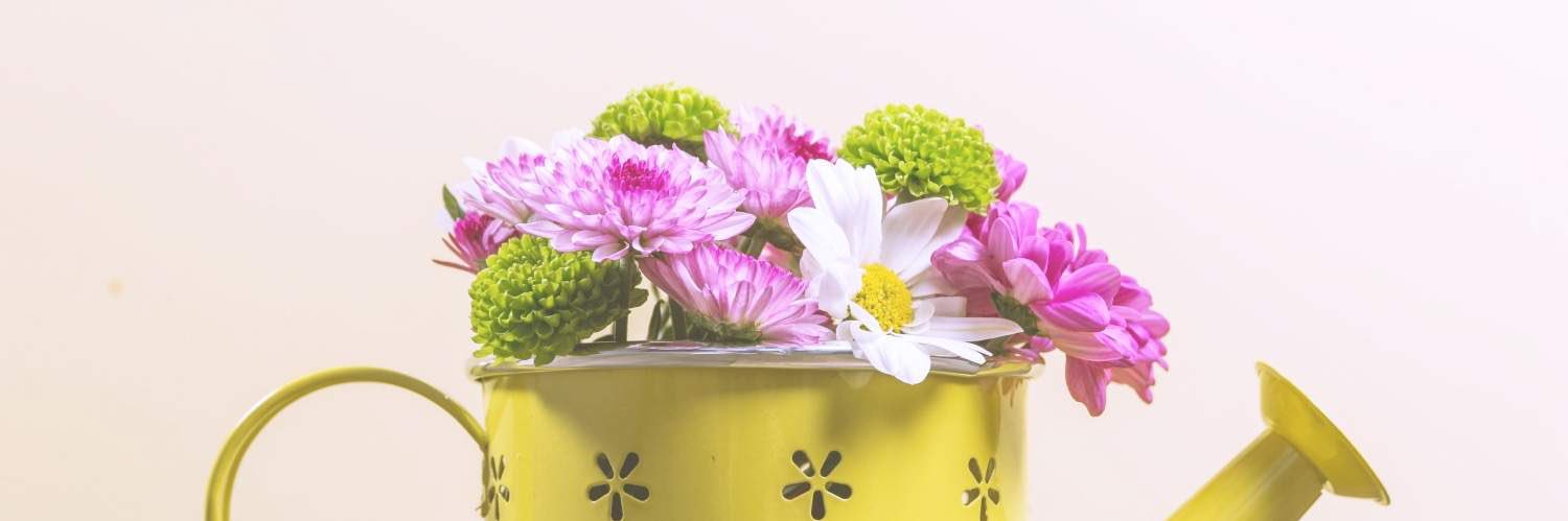 minky326's profile banner image