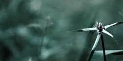 FerAngel_'s profile banner image