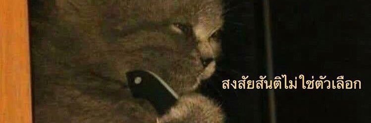 mamonnywish's profile banner image
