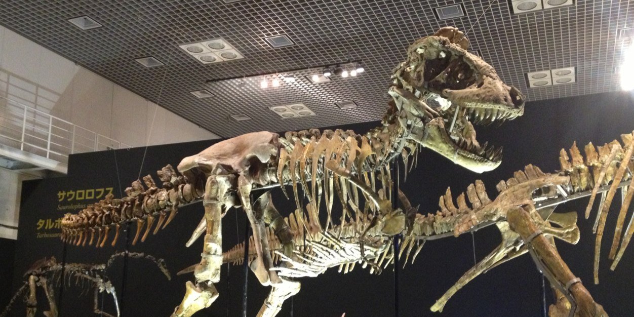 dinopianosaurus's profile banner image
