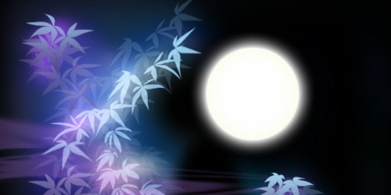 beginnerz's profile banner image