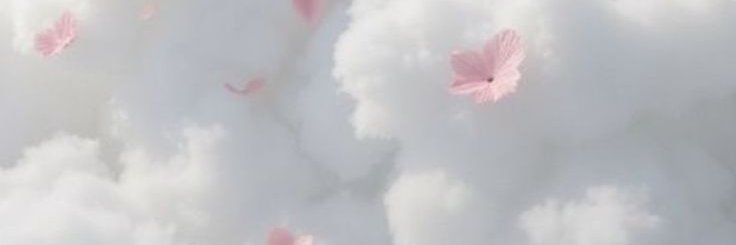 sssssshhrr's profile banner image