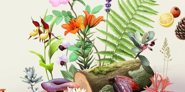 Dicen_eRecolnat's profile banner image