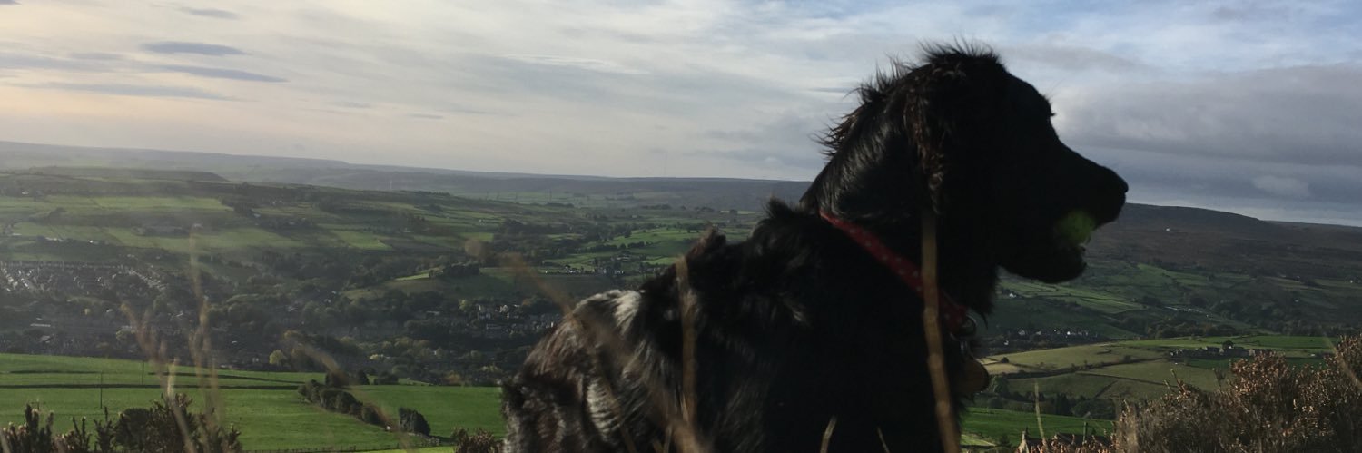 MillyDog06's profile banner image