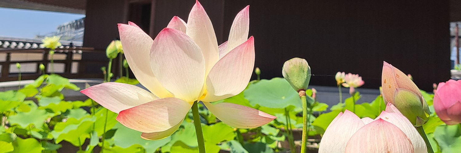 みや banner