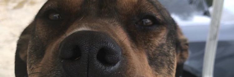 LMshispanic's profile banner image
