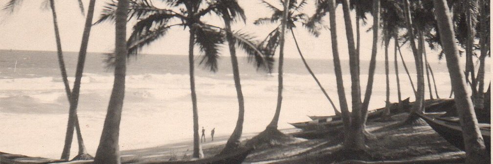 woodsgregory's profile banner image