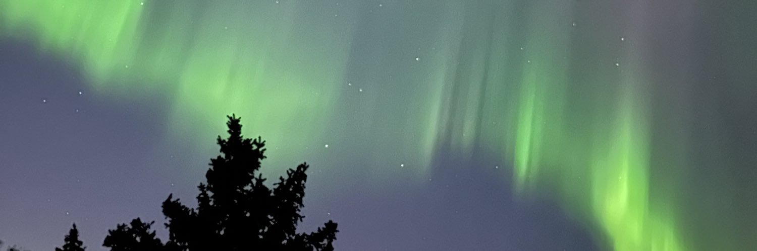 Christina Sawisky 🧡 banner