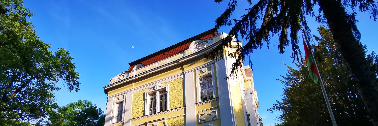 BelarusVienna's profile banner image