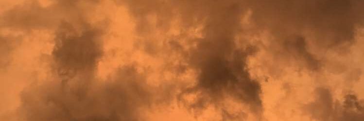 olivia_riley19's profile banner image