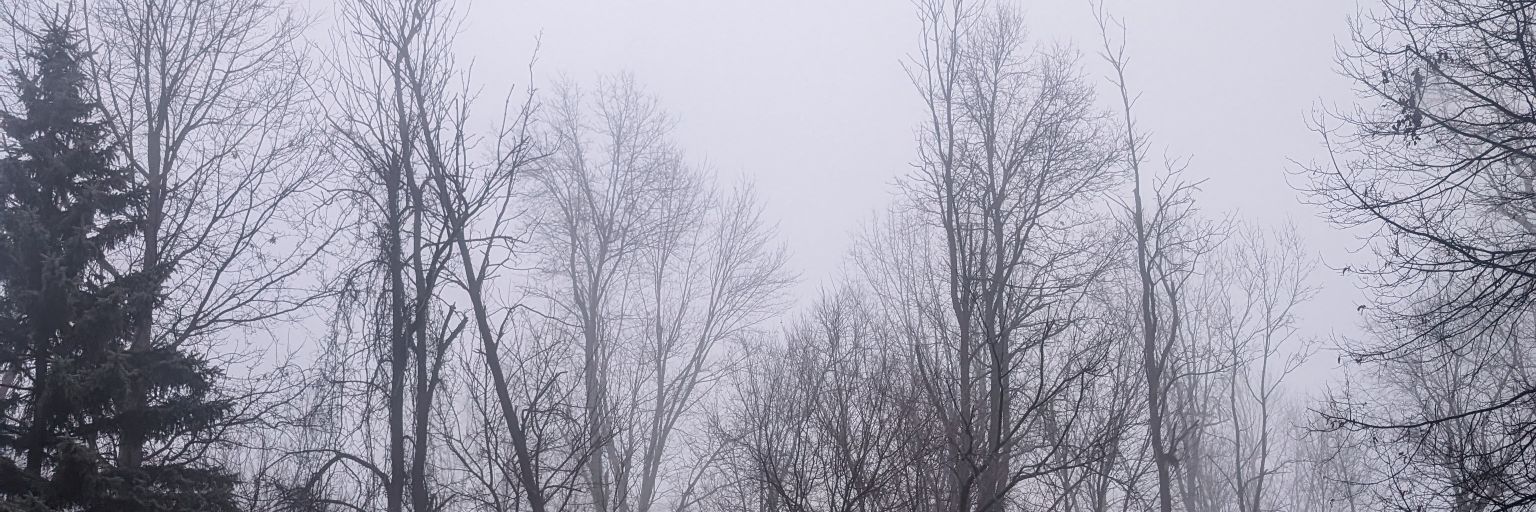Spoon_the5th's profile banner image