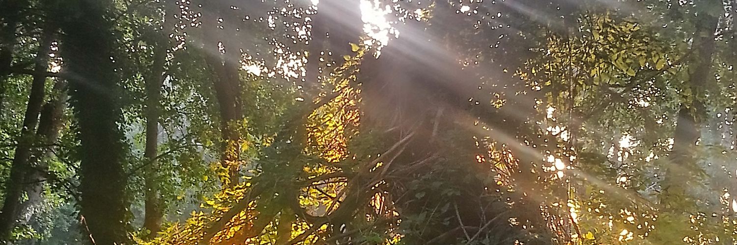 Verónica Sánchez banner