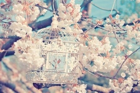 zeanpuputmarga's profile banner image