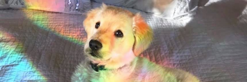 CalubKang's profile banner image