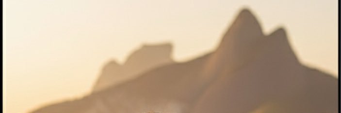 Ronneytwd's profile banner image
