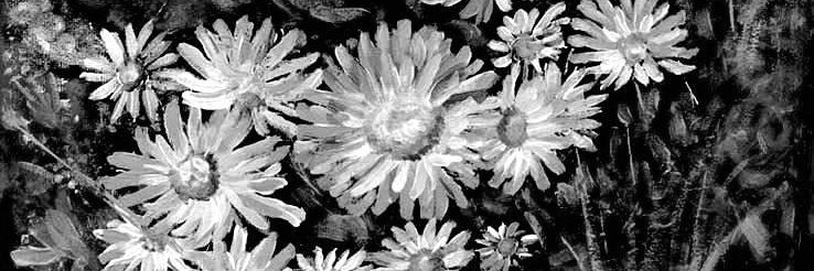 JennaJanaki's profile banner image