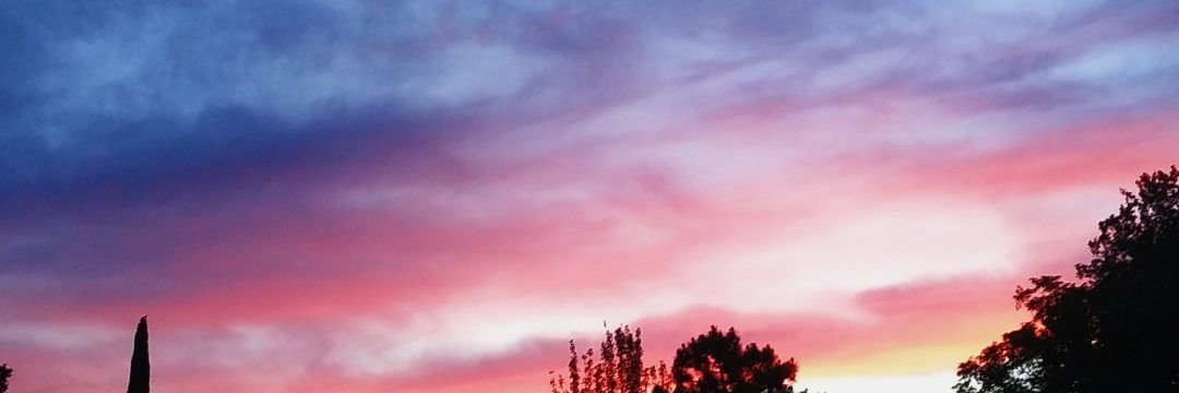 MartsCook's profile banner image