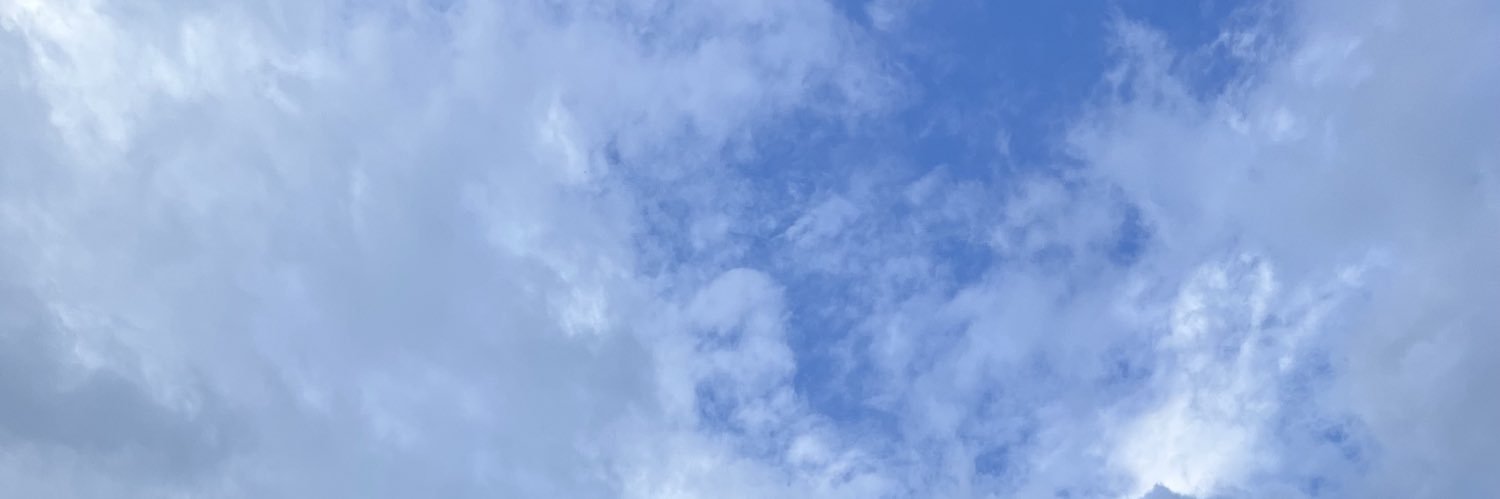 11blocksforyou's profile banner image