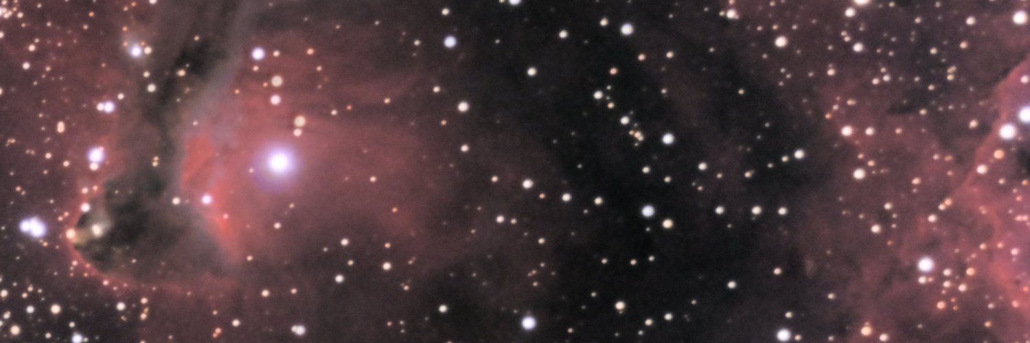 Pretty Much a Combinatorialist banner